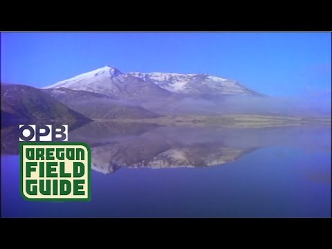 Mount St. Helens Remains A Mystery to Ecologists | Oregon Field Guide