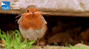 641 reactions · 110 shares | “I’m jumping for joy,...