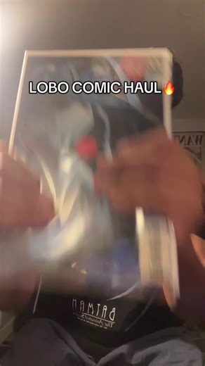 Exploring the Lobo Comic Series: A Complete Haul