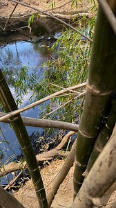 IHunt DownUnder on Reels