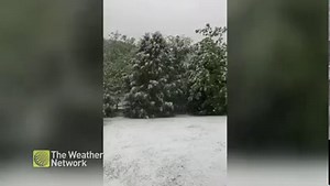 15K views · 146 reactions | Snow, snow, go away ❄️ Come again when it's not May ❄️ (Or June, or July, or August, or September...) : Tasha Thompson, Markdale, Ontario #ShareYourWeather Watch more weather video in our Gallery: https://bit.ly/39wrp7k | The Weather Network | Facebook