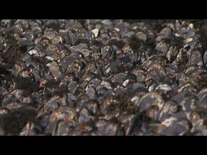 Climate Watch: California at the Tipping Point