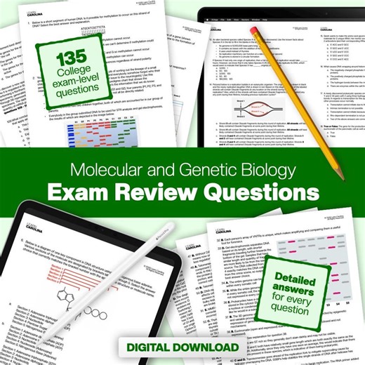 Exam Review Questions: Molecular and Genetic Biology - Etsy