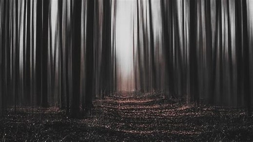 The fear of darkness and its roots in human evolutionary survival