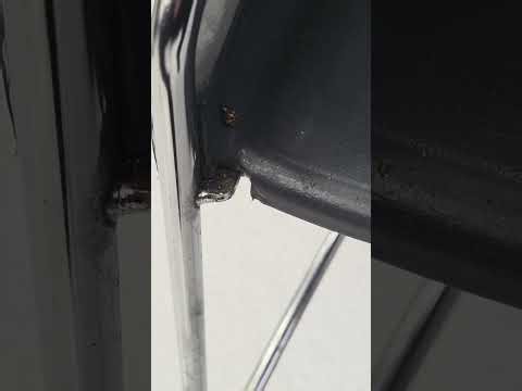 Lady Bug in da chair