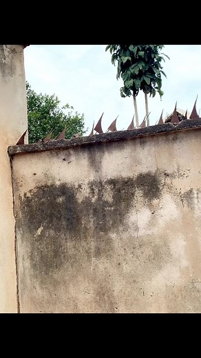 Davido na you course dis | Doublemoney comedy