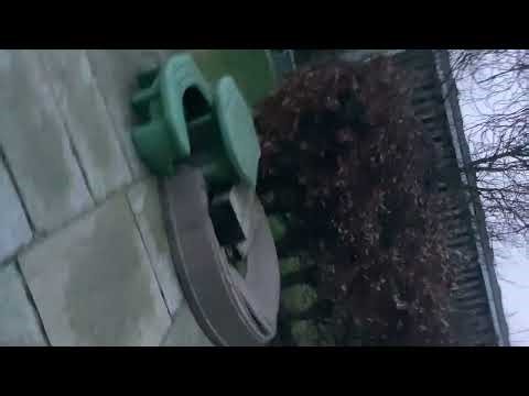 Hatching time part 18.5