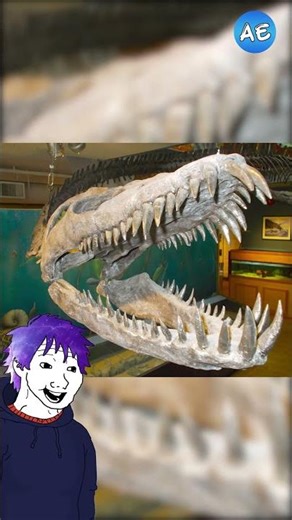 Interesting Facts About Elasmosaurus, the Long-Necked Marine Dinosaur from the Cretaceous Period!...