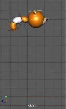 Tail Ball Bouncing Animation