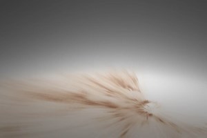 Tour of the Milky Way in Bayestar19