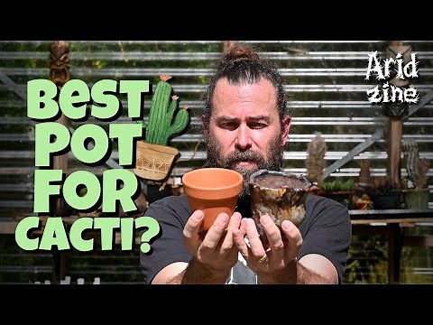 The secret to choosing the right pot for your cactus