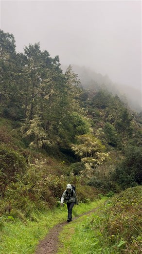 pepper | discovery & adventure on Instagram: "do you like hiking in the rain?! #rain #hike #adventure"