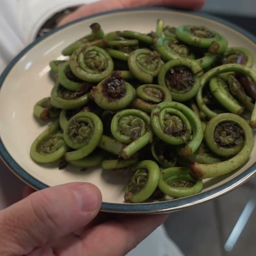 Fresh Things: Preparing Fiddlehead Ferns