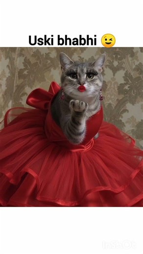 Bolo sa re ga ma....🎤🎤 #funny #cat #comedy #trending #cute #funnycute #shorts