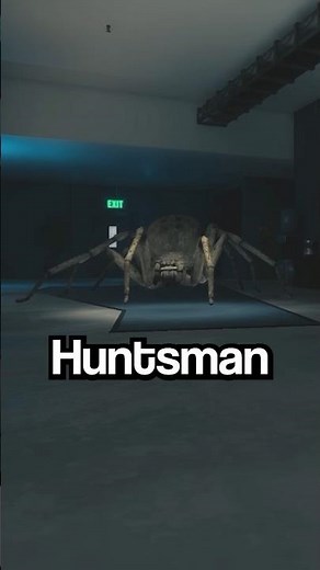 This Horror Game is about a GIANT SPIDER | Huntsman