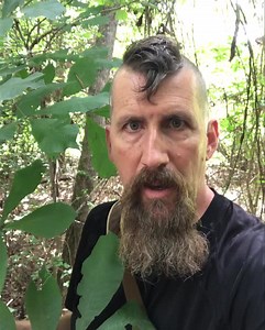 1K views · 54 reactions | Plant Identification: Simple vs Compound...