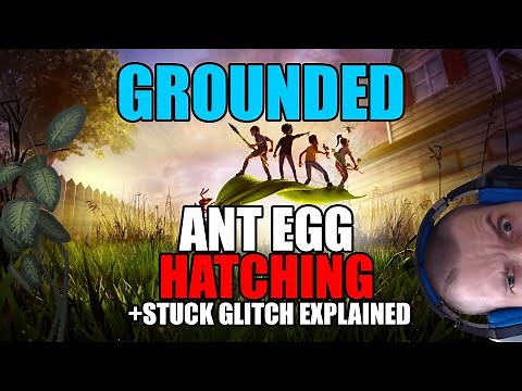 Grounded: Ant egg hatching + update on Ant Hill issue