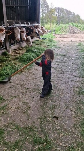 Motivée la petite fermière 💪💪#petitenfant #agriculture | La Ferme Des Îles Morice
