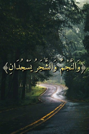 Miracle of Quran | Surah Ar-Rahman (5-8) | Beautiful Recitation by Abdul Basit | Islamic Nature Edit