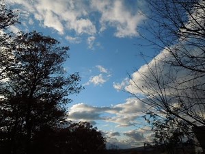 RWS Rifle Match and RWS R50 with Vudoo V22