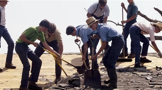 ‘Their way of life protects them’ - The science behind the Amish advantage