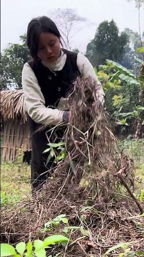 How to repel wild animals #hacks #survival #bushcraft #camping #gorilla