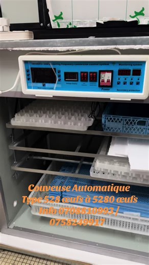 Couveuse Automatique - Type 528 œufs à 5280 œufs