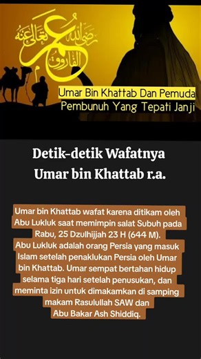 #madrasahkehidupan #fipシ