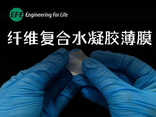 纤维复合水凝胶薄膜