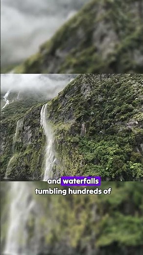 Milford Sound Cruise | New Zealand’s Most Breathtaking Adventure