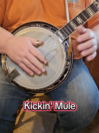 Amazing Fun Facts About Mules