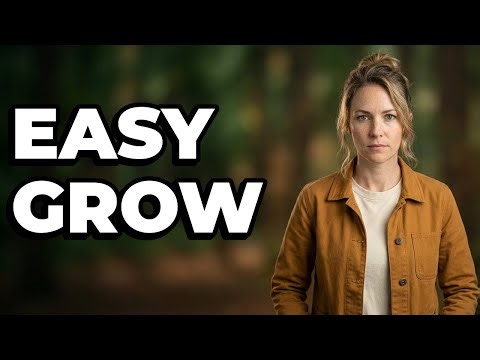 Which Spring Vegetables Are Best For Beginners?