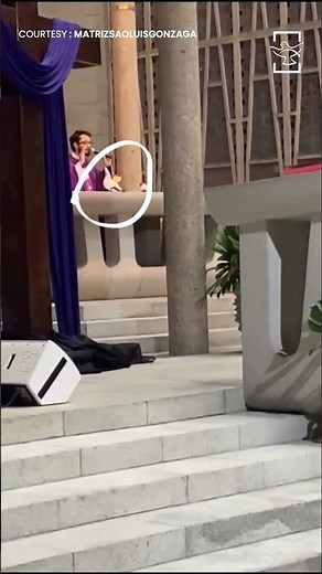 A dove entered during Mass—and stayed by the altar | Shalom World News