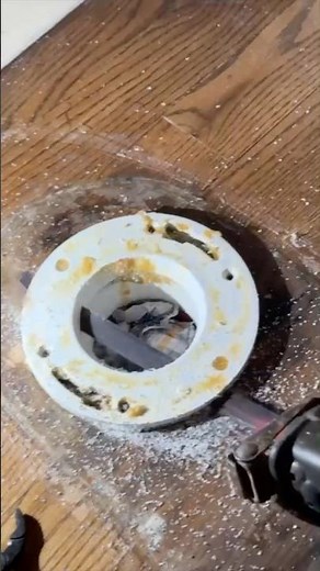 What was Really Leaking,Toilet,Flange, Wax Ring? Can you tell?