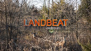 10K views | One of the most overlooked whitetail habitat improvements. ⬇️ This week on Land Beat, Kip Adams from QDMA talks about improving whitetail habitat by utilizing fallow fields for both food and cover for deer. Food plots are great, but implementing tactics such as this can stretch your management dollar, and also provide much needed food and cover early in the year, when whitetails need it most. | Whitetail Properties | Facebook