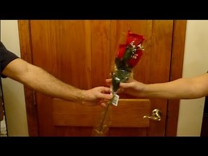 Hand In Hand- Inspirational Short Film