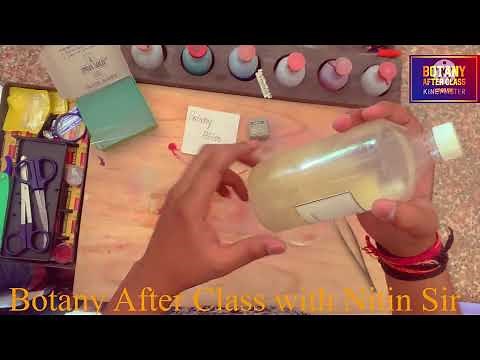 Bsc Chara algae |Chara practical botany|Bsc botany practical