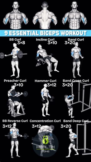 9 Essential Bicep Exercises for Massive Arms