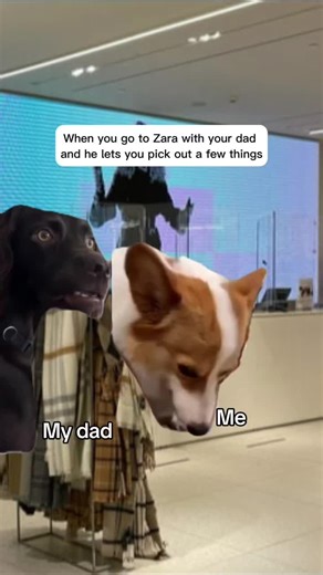 #Meme #MemeCut #fyp #foryou #viralvideo #foryourpage #zara #funny #portugal @ZARA