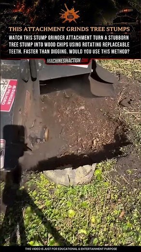 This Attachment Grinds Tree Stumps
