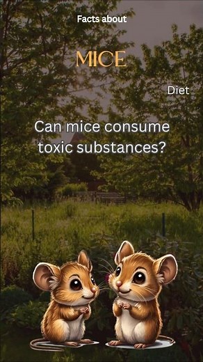 Mouse Fact 39 - Can mice consume toxic substances?
