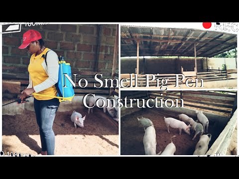 How To Make No Smell PIG HOUSE / IMO Process! Backyard Piggery