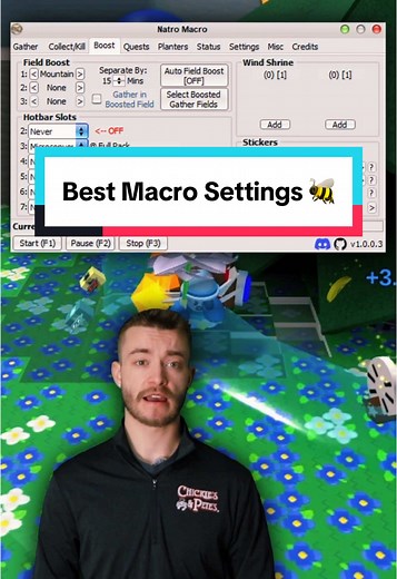 Best Macro Settings for Bee Swarm Simulator
