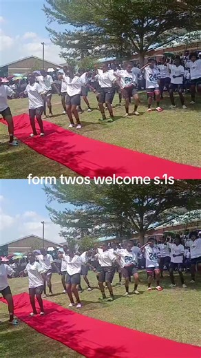 BONI CONSILII GIRLS TV (@boni.consilii.gir)’s videos with original sound - BONI CONSILII GIRLS TV