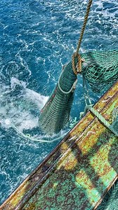 77K views · 876 reactions | Tons of Fish in One Go‼️ #indianoceanfisherman #IOF #fishing #oceanlife | இந்திய பெருங்கடல் மீனவன் Indian Ocean Fisherman | Facebook