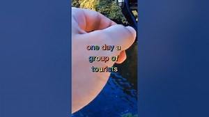 Fishing Joke 87 jokes fishingjokes humor joke