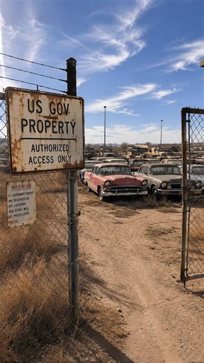 “The Government Hid Hundreds of Classic Cars Out Here…$499 Bel Airs and $1,500 Boss Mustangs?! This Makes No Sense #ClassicCars #abandonedcars #BarnFind #AbandonedPlaces #musclecars