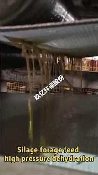 How to effectively dehydrate silage forage and reduce processing costs #beltpressdewateringmachine