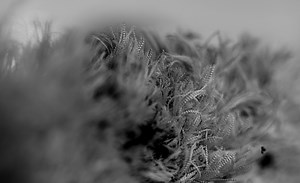 Classes for Apparel Entrepreneurs and Fashion Designers