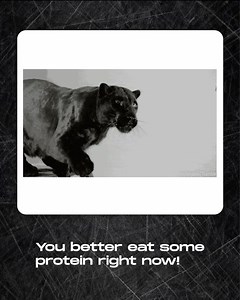 FitMuscle TV on Reels | Facebook